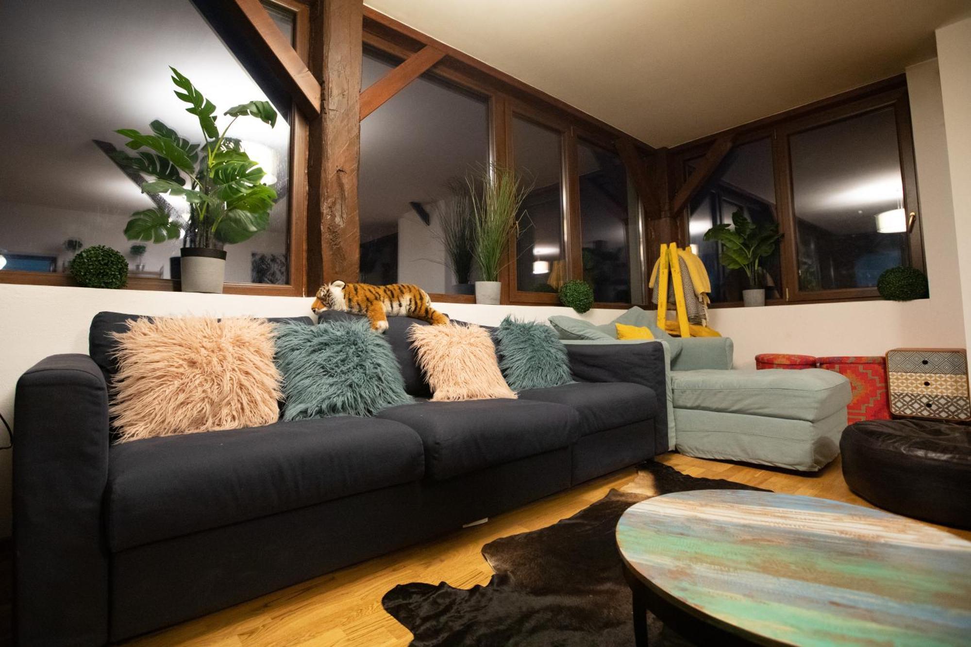 Maison De L'Amour Brebu Nou Екстериор снимка
